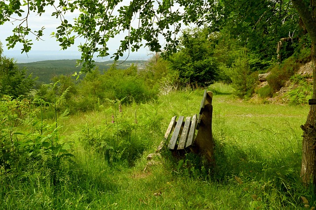 做到真正的 做到真正的
