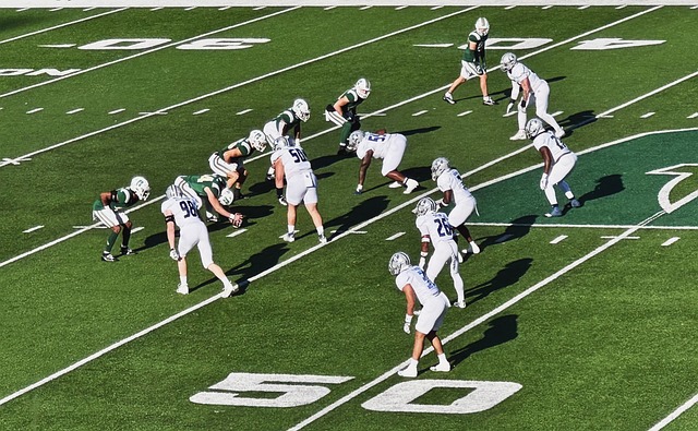 湖人擒熊 湖人擒熊