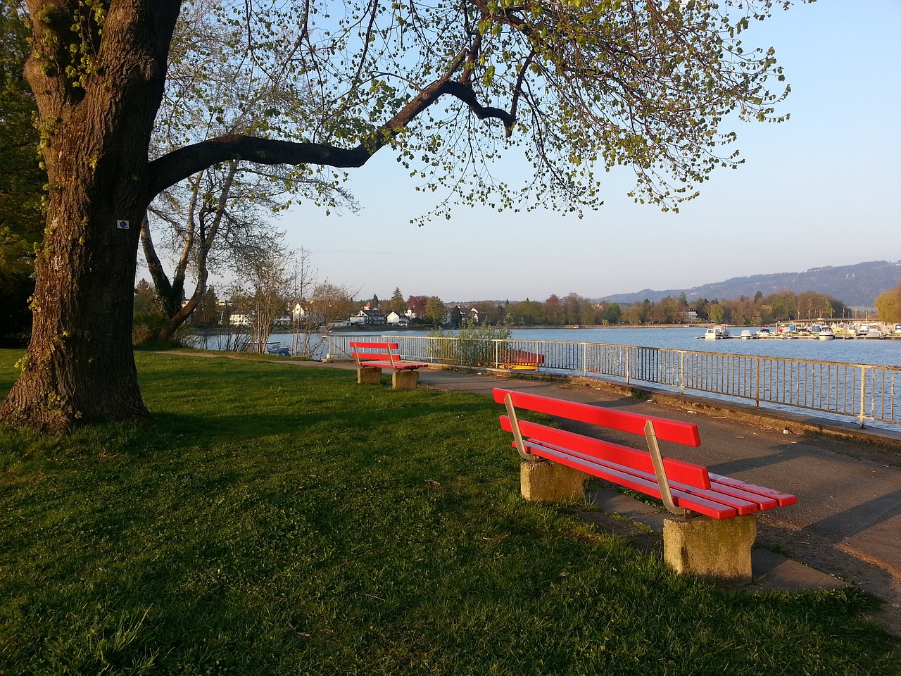 基米希的重 基米希的重